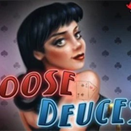 Play the Loose Deuces - 52 Hands slot by RTG (Reel Time Gaming) on Vulkan Vegas Casino